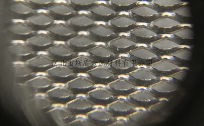 expanded mesh (1).jpg